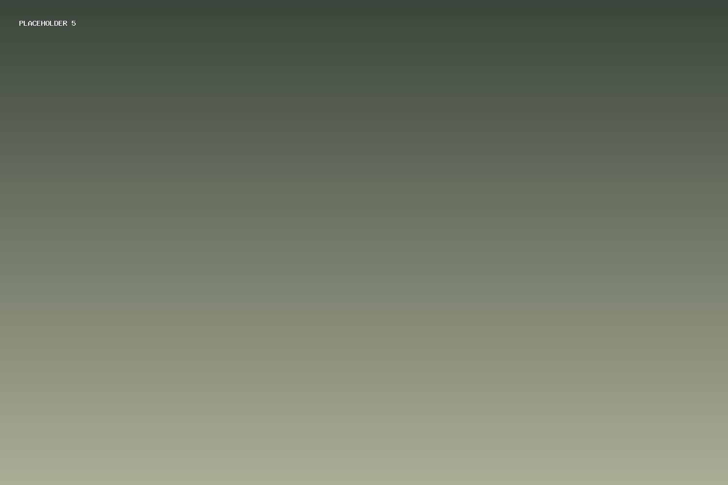 Untitled V, 2023